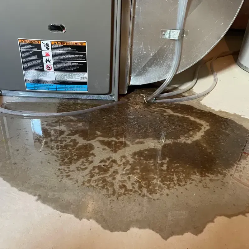 Appliance Leak Cleanup in Wollochet, WA